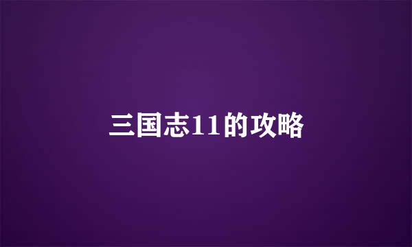 三国志11的攻略