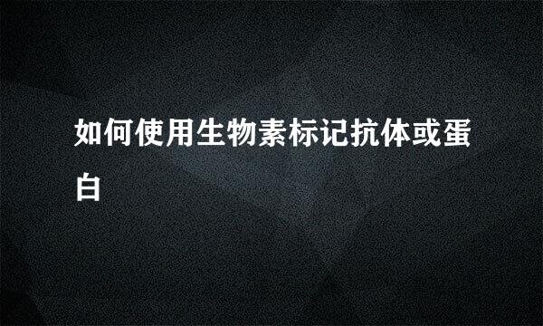 如何使用生物素标记抗体或蛋白