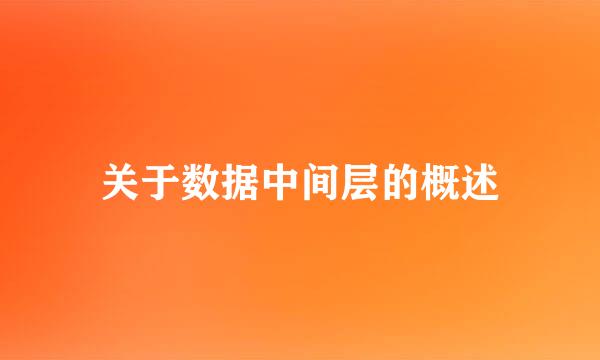 关于数据中间层的概述