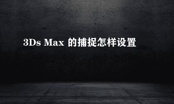 3Ds Max 的捕捉怎样设置