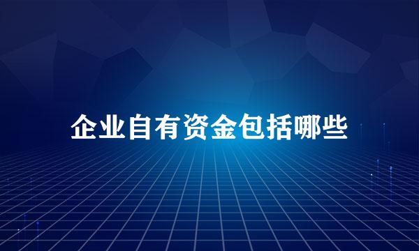 企业自有资金包括哪些