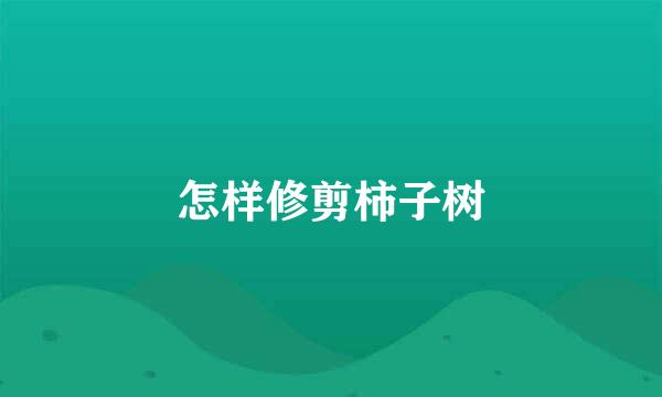 怎样修剪柿子树