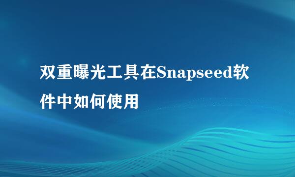 双重曝光工具在Snapseed软件中如何使用