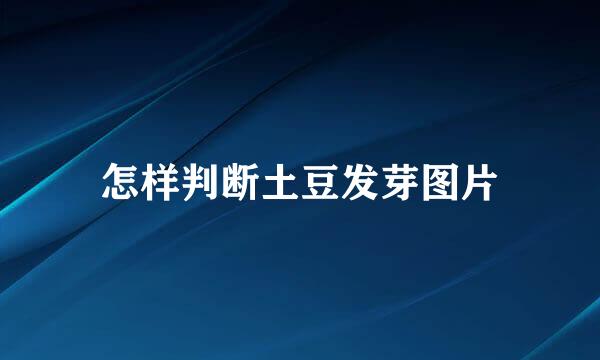 怎样判断土豆发芽图片
