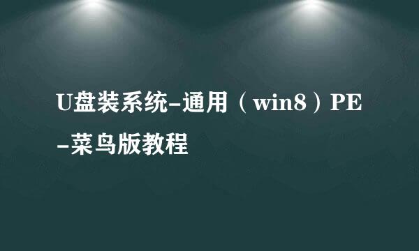 U盘装系统-通用（win8）PE-菜鸟版教程