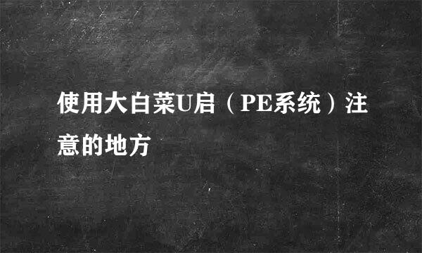 使用大白菜U启（PE系统）注意的地方