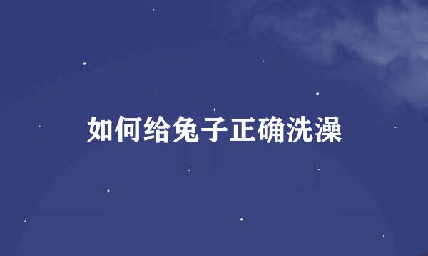 如何给兔子正确洗澡
