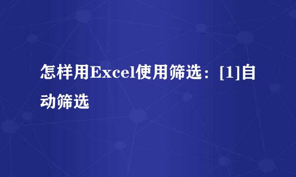 怎样用Excel使用筛选：[1]自动筛选