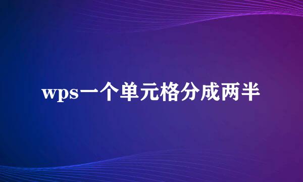 wps一个单元格分成两半