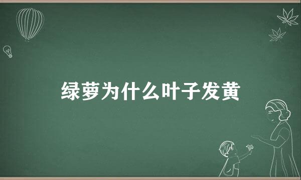 绿萝为什么叶子发黄