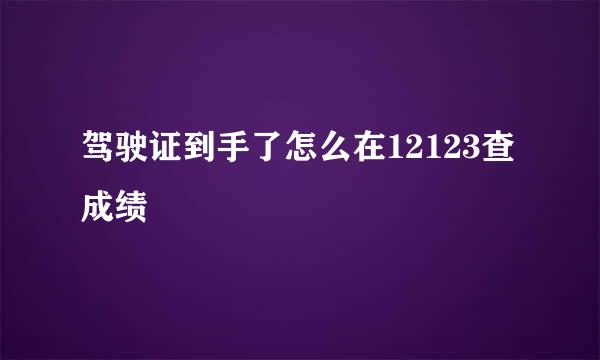 驾驶证到手了怎么在12123查成绩