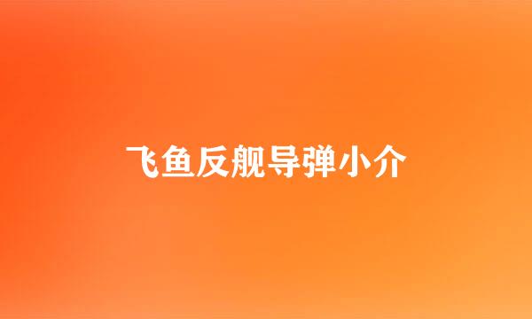 飞鱼反舰导弹小介