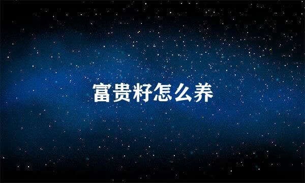 富贵籽怎么养