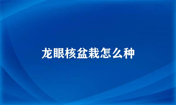 龙眼核盆栽怎么种