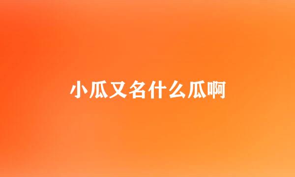 小瓜又名什么瓜啊