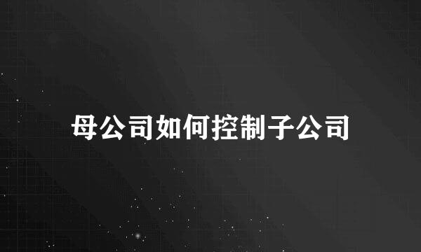 母公司如何控制子公司