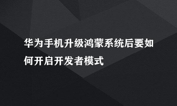 华为手机升级鸿蒙系统后要如何开启开发者模式