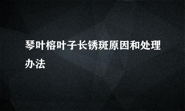 琴叶榕叶子长锈斑原因和处理办法