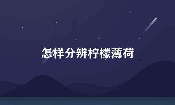 怎样分辨柠檬薄荷