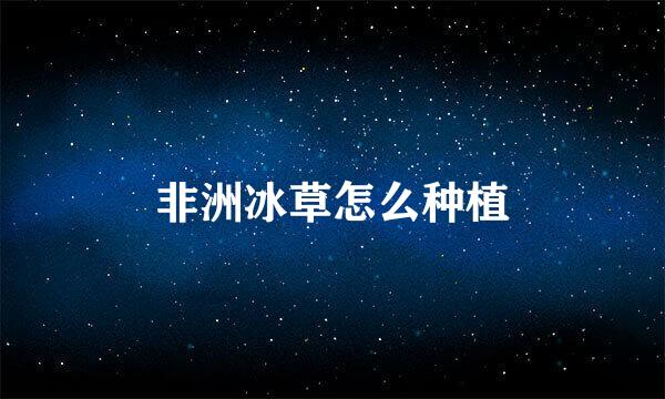 非洲冰草怎么种植