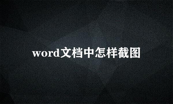 word文档中怎样截图