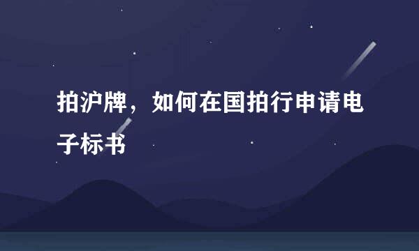 拍沪牌，如何在国拍行申请电子标书
