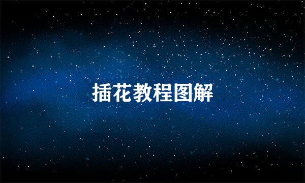 插花教程图解
