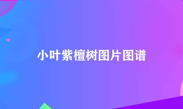 小叶紫檀树图片图谱