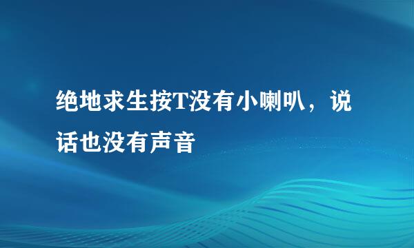 绝地求生按T没有小喇叭，说话也没有声音