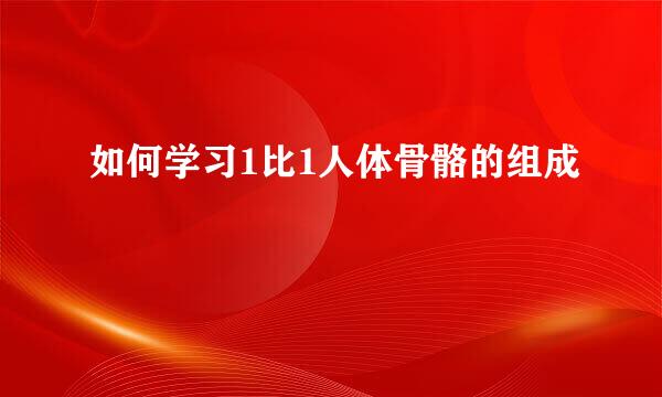 如何学习1比1人体骨骼的组成