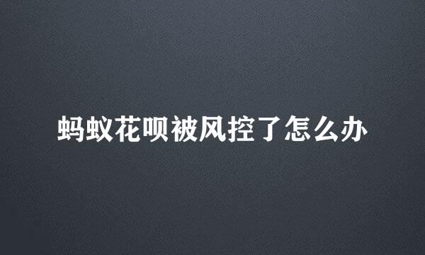蚂蚁花呗被风控了怎么办