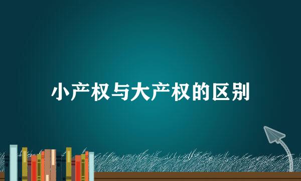小产权与大产权的区别