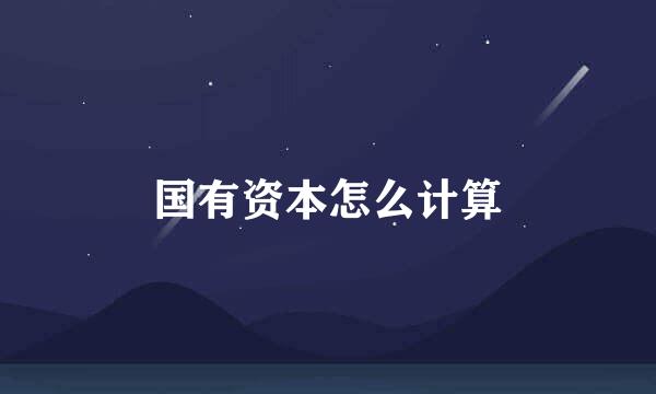 国有资本怎么计算