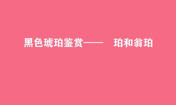 黑色琥珀鉴赏——瑿珀和翁珀