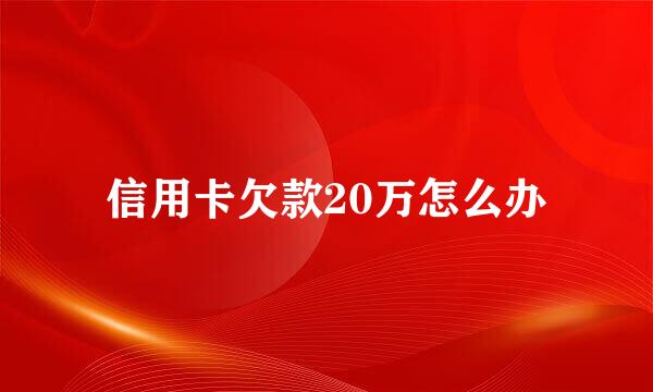 信用卡欠款20万怎么办