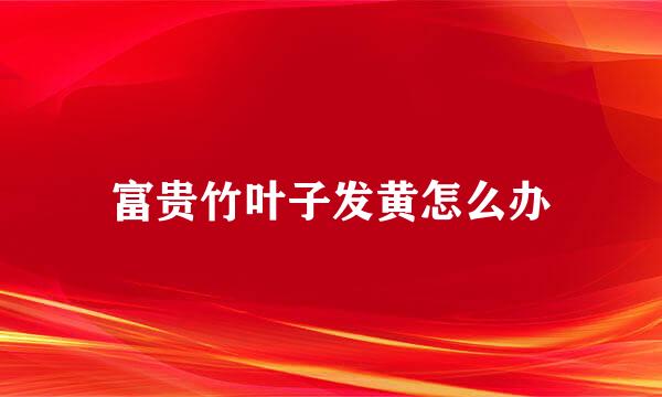 富贵竹叶子发黄怎么办