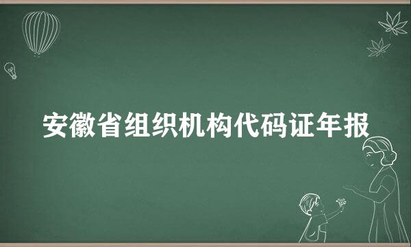安徽省组织机构代码证年报