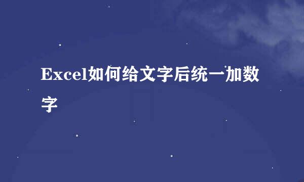 Excel如何给文字后统一加数字