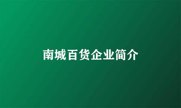 南城百货企业简介