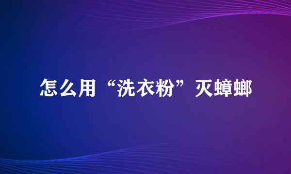 怎么用“洗衣粉”灭蟑螂