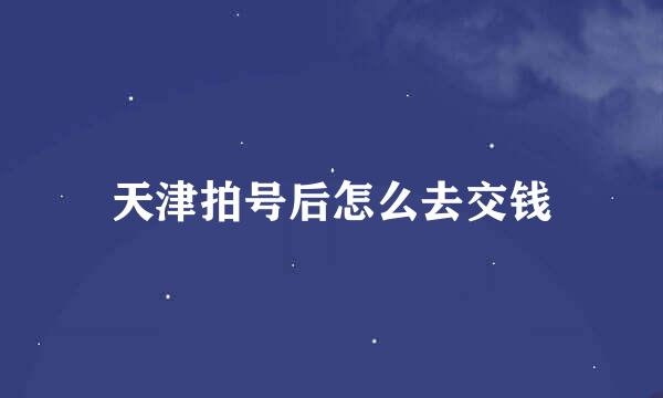 天津拍号后怎么去交钱