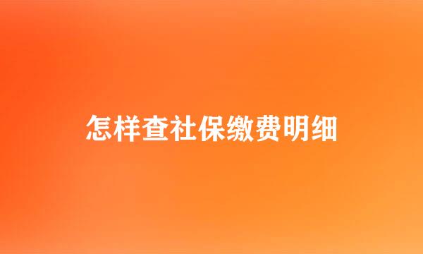 怎样查社保缴费明细