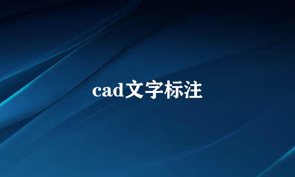 cad文字标注