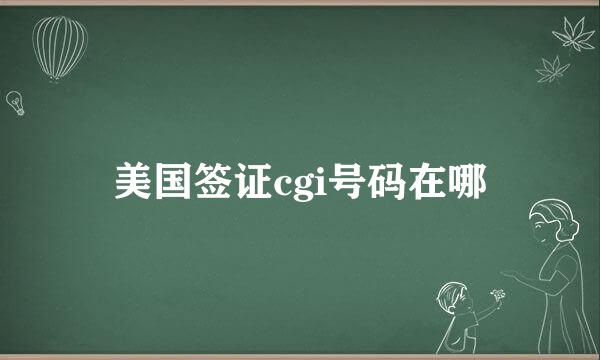 美国签证cgi号码在哪