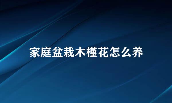 家庭盆栽木槿花怎么养