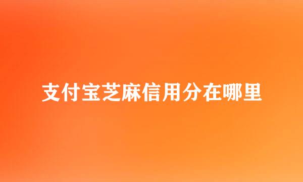 支付宝芝麻信用分在哪里