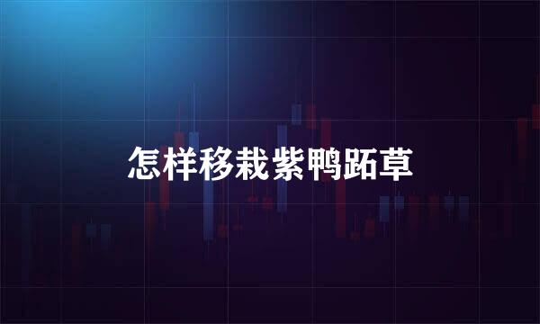 怎样移栽紫鸭跖草