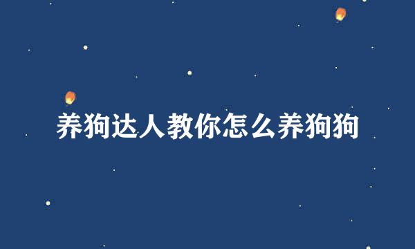 养狗达人教你怎么养狗狗