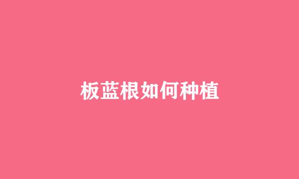 板蓝根如何种植