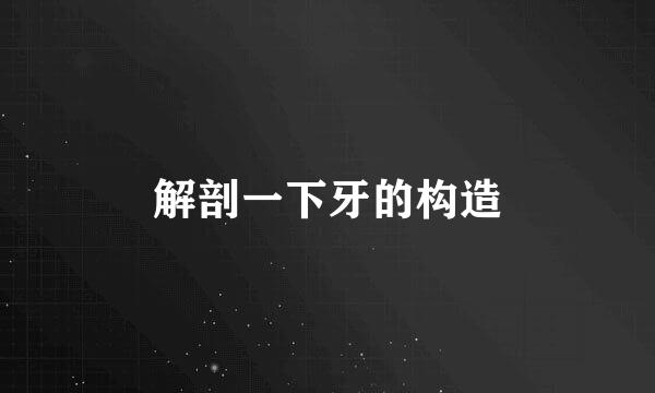 解剖一下牙的构造